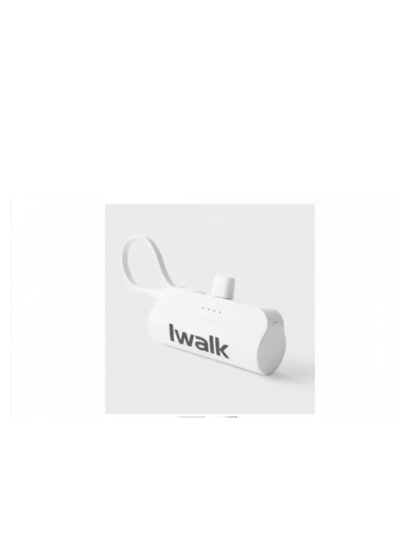 IWalk Portable USB plug-in Charger